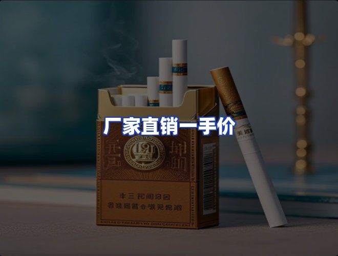 专业团队